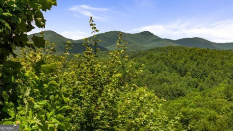 469 Mountain High Drive Mineral Bluff GA 30559