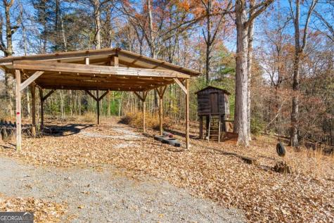 2906 Douthit Road Mineral Bluff GA 30559
