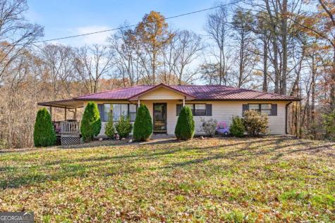 2906 Douthit Road Mineral Bluff GA 30559