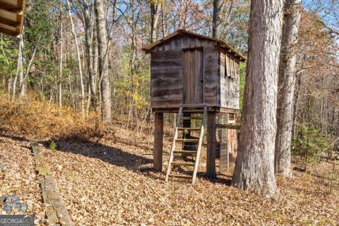 2906 Douthit Road Mineral Bluff GA 30559