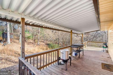 2906 Douthit Road Mineral Bluff GA 30559