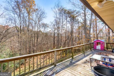2906 Douthit Road Mineral Bluff GA 30559