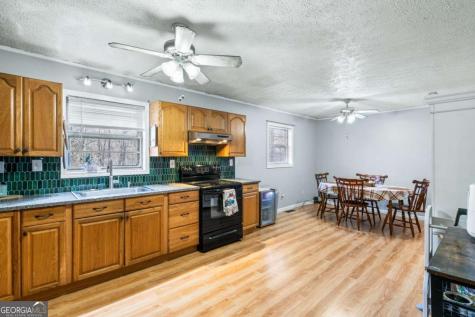 2906 Douthit Road Mineral Bluff GA 30559