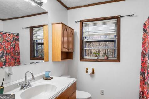 2906 Douthit Road Mineral Bluff GA 30559