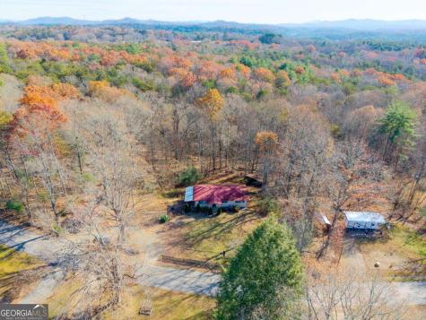 2906 Douthit Road Mineral Bluff GA 30559