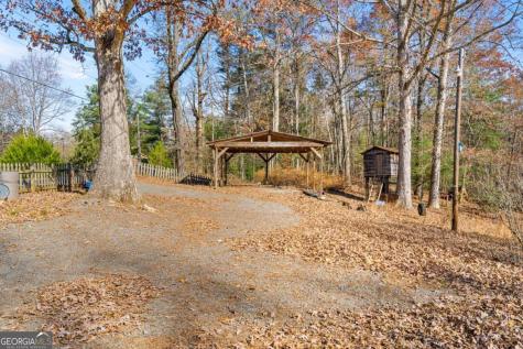 2906 Douthit Road Mineral Bluff GA 30559