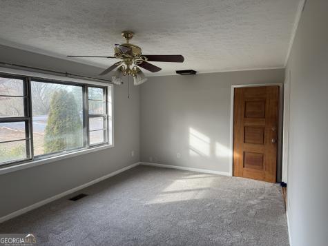 2906 Douthit Road Mineral Bluff GA 30559
