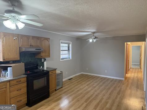 2906 Douthit Road Mineral Bluff GA 30559