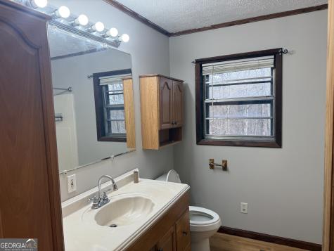 2906 Douthit Road Mineral Bluff GA 30559