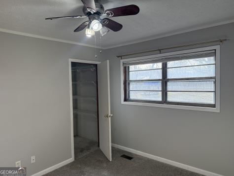 2906 Douthit Road Mineral Bluff GA 30559