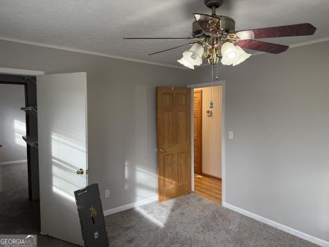 2906 Douthit Road Mineral Bluff GA 30559