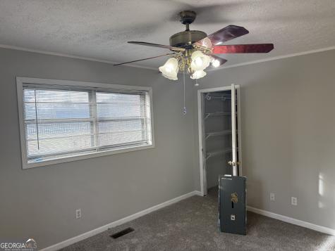 2906 Douthit Road Mineral Bluff GA 30559
