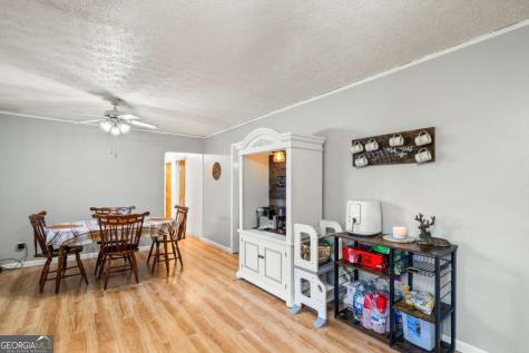 2906 Douthit Road Mineral Bluff GA 30559