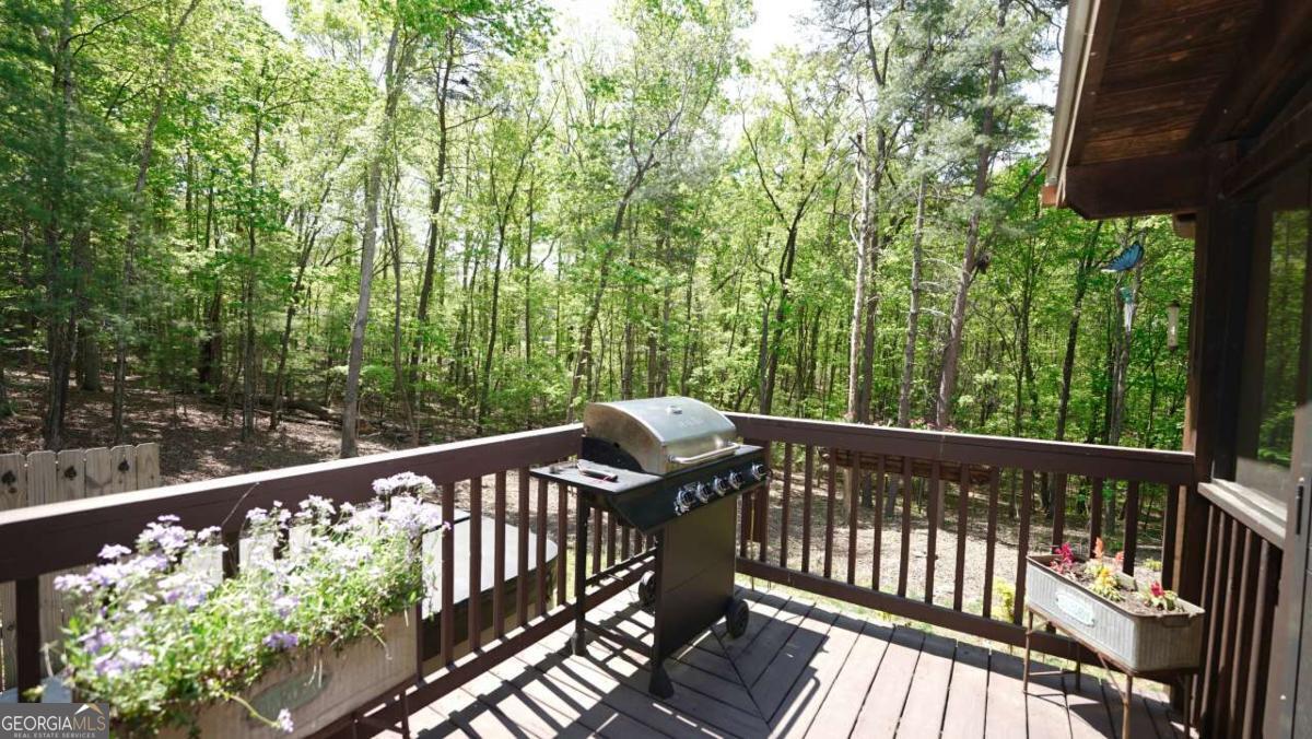 210 Shade Tree Lane Mineral Bluff GA 30559