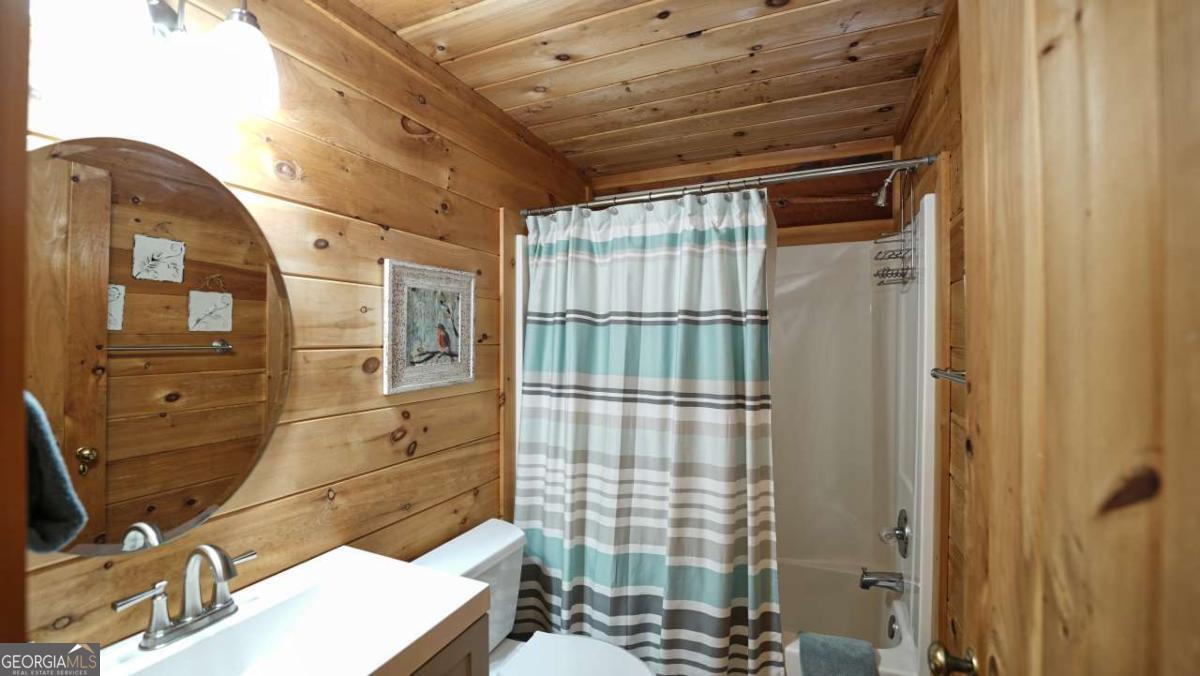 210 Shade Tree Lane Mineral Bluff GA 30559