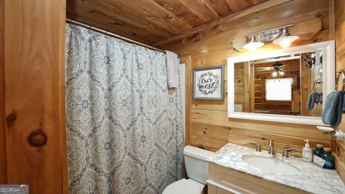 210 Shade Tree Lane Mineral Bluff GA 30559