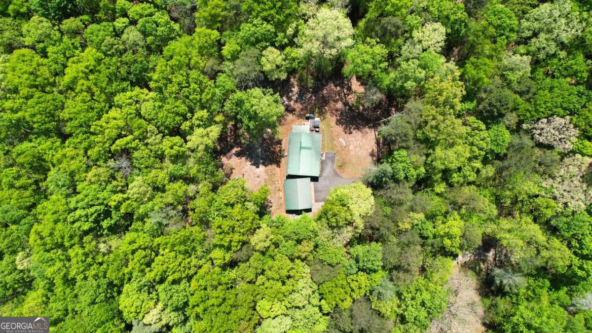 210 Shade Tree Lane Mineral Bluff GA 30559