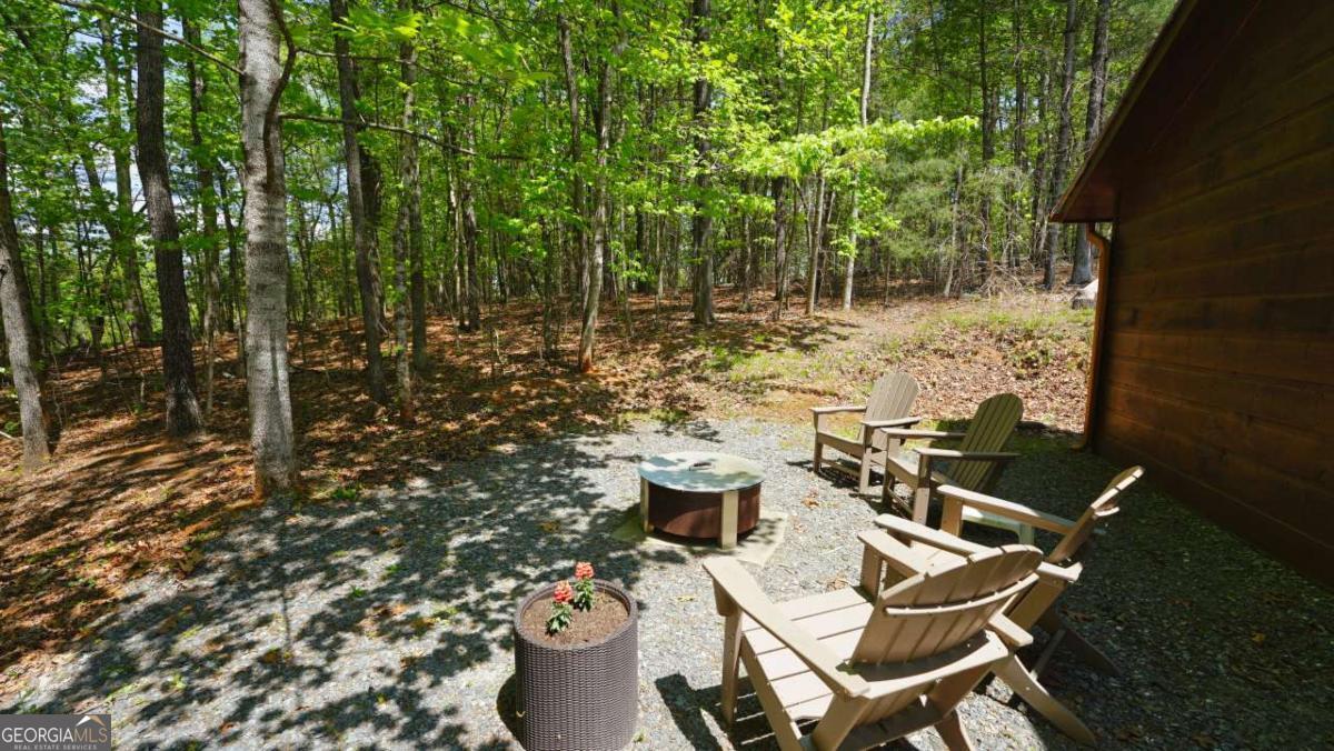 210 Shade Tree Lane Mineral Bluff GA 30559