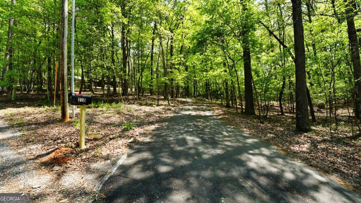 210 Shade Tree Lane Mineral Bluff GA 30559
