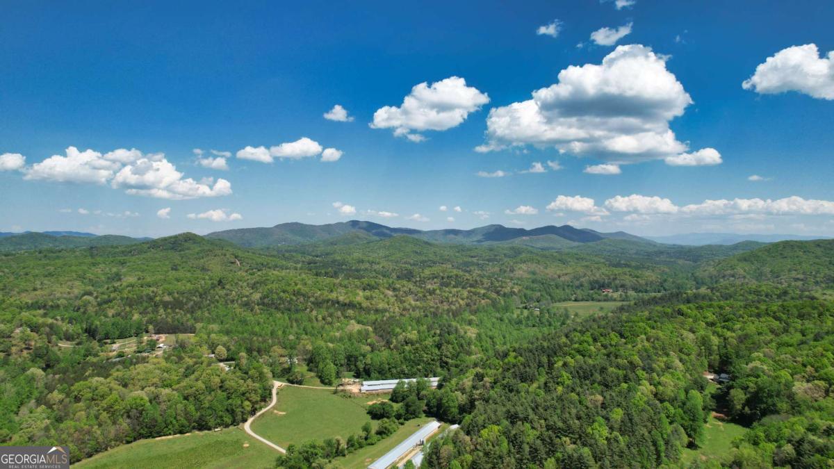 210 Shade Tree Lane Mineral Bluff GA 30559