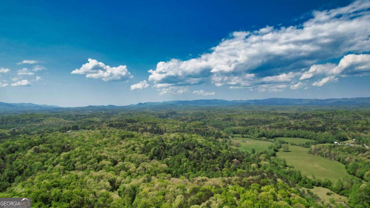 210 Shade Tree Lane Mineral Bluff GA 30559