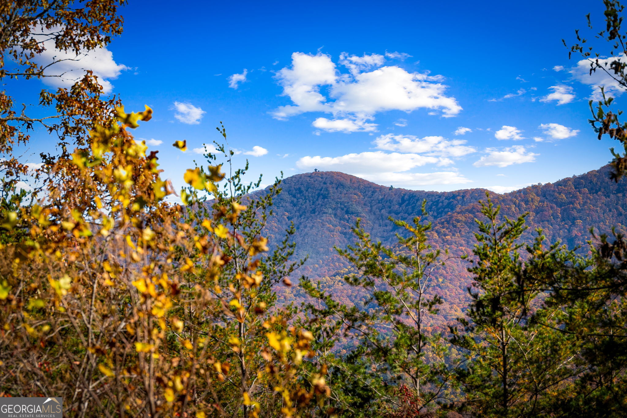 67 Timber Grace Court Blairsville GA 30512