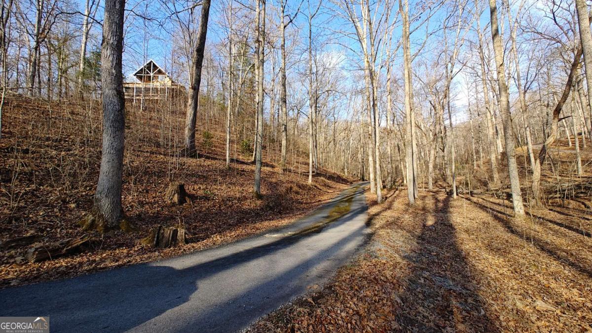 236 Grace Drive Blue Ridge GA 30513