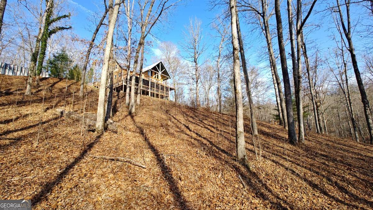 236 Grace Drive Blue Ridge GA 30513