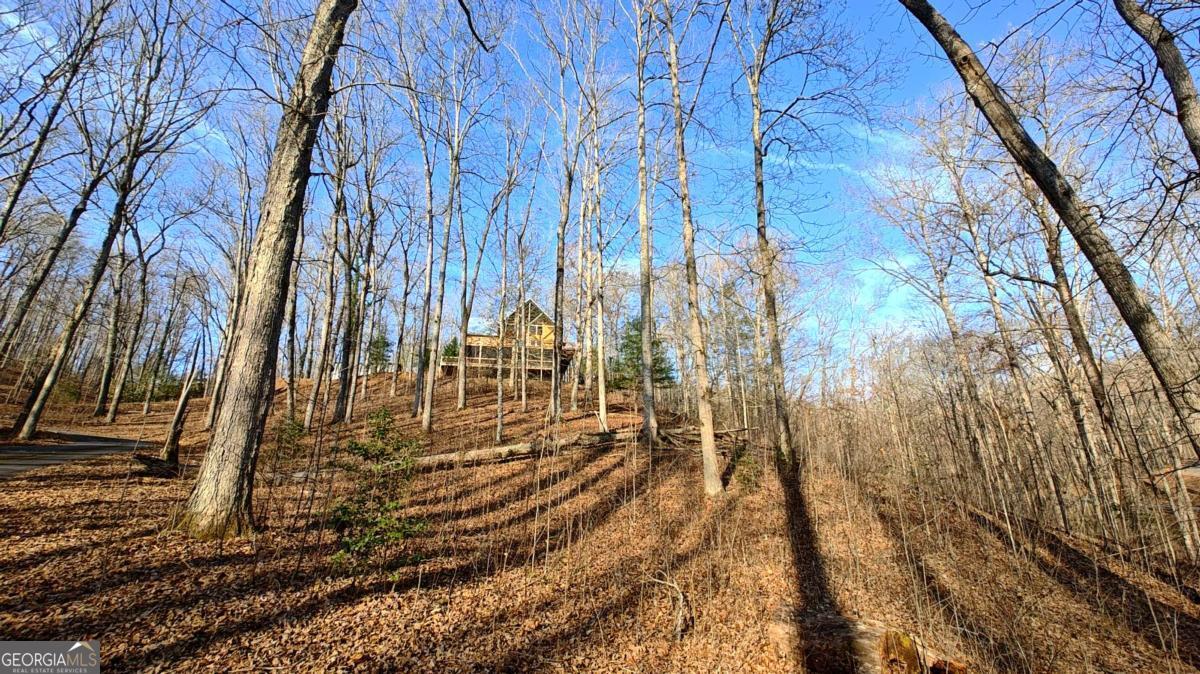 236 Grace Drive Blue Ridge GA 30513