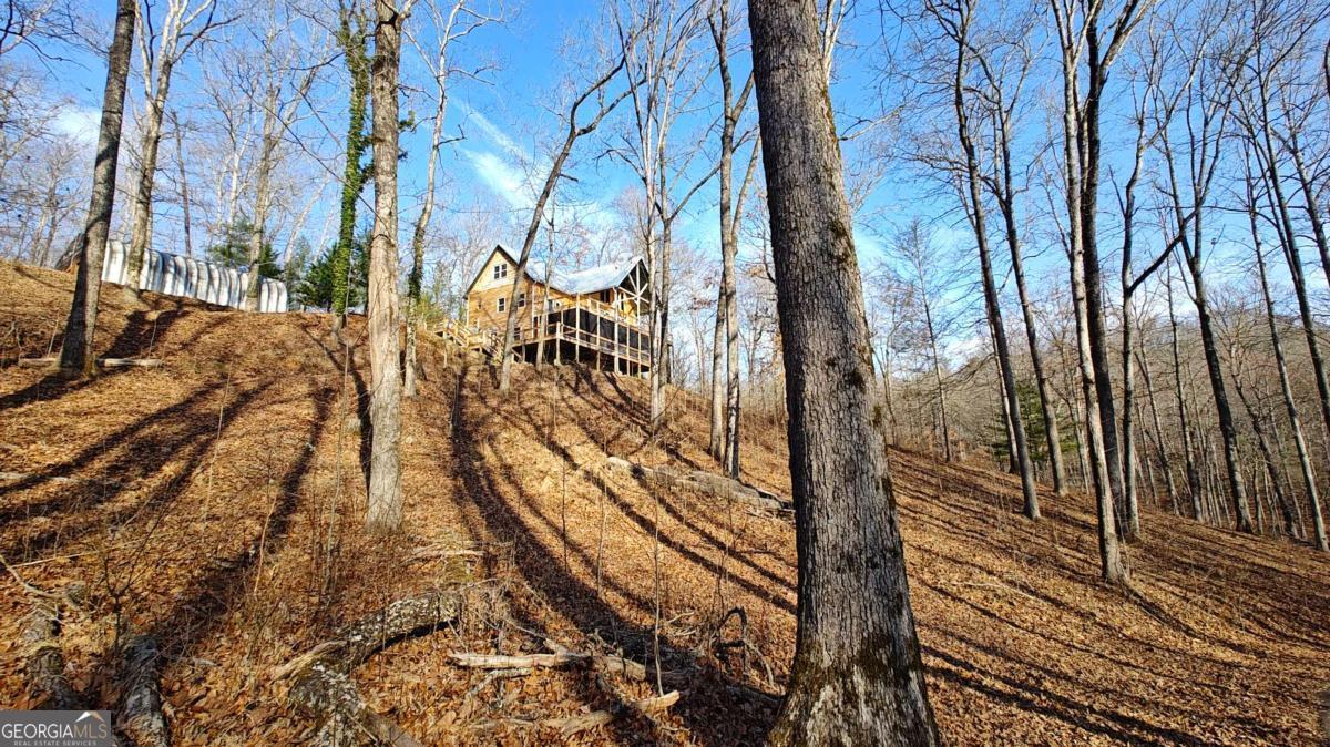 236 Grace Drive Blue Ridge GA 30513