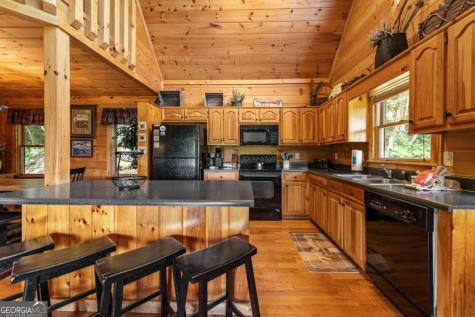 469 Mountain High Drive Mineral Bluff GA 30559