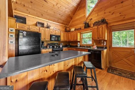 469 Mountain High Drive Mineral Bluff GA 30559
