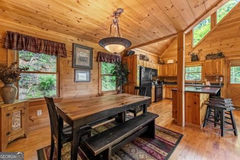 469 Mountain High Drive Mineral Bluff GA 30559