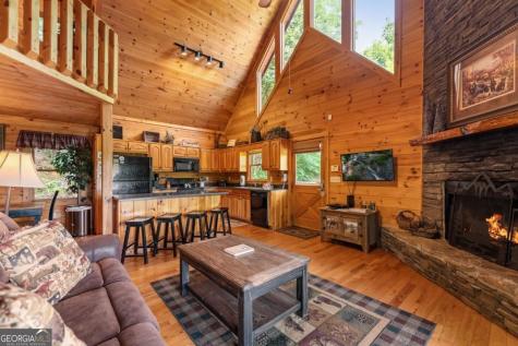 469 Mountain High Drive Mineral Bluff GA 30559