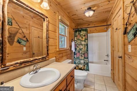 469 Mountain High Drive Mineral Bluff GA 30559