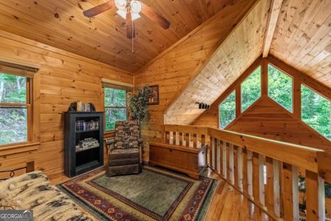 469 Mountain High Drive Mineral Bluff GA 30559