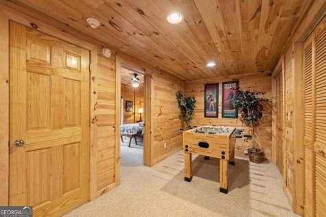469 Mountain High Drive Mineral Bluff GA 30559