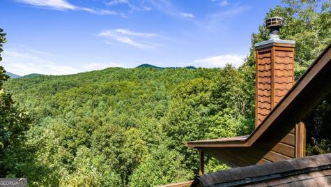 469 Mountain High Drive Mineral Bluff GA 30559