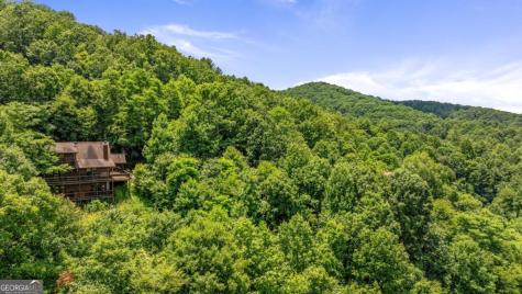 469 Mountain High Drive Mineral Bluff GA 30559