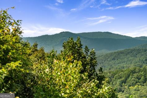 469 Mountain High Drive Mineral Bluff GA 30559