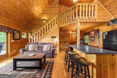 469 Mountain High Drive Mineral Bluff GA 30559