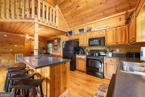 469 Mountain High Drive Mineral Bluff GA 30559