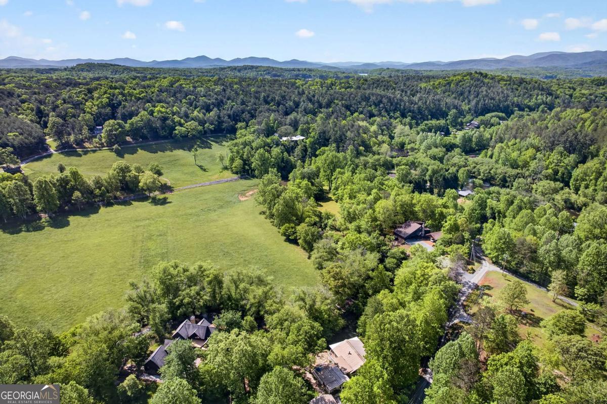 401 Mountain Rivers Road Mineral Bluff GA 30559