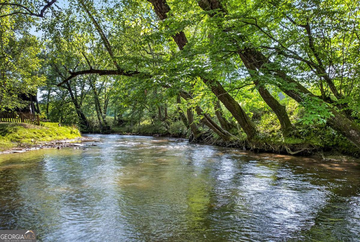 401 Mountain Rivers Road Mineral Bluff GA 30559