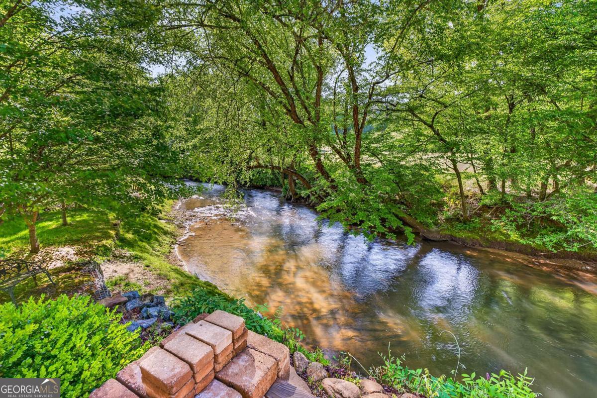 401 Mountain Rivers Road Mineral Bluff GA 30559