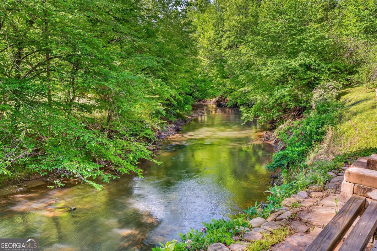 401 Mountain Rivers Road Mineral Bluff GA 30559