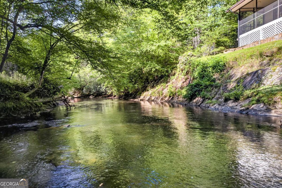 401 Mountain Rivers Road Mineral Bluff GA 30559