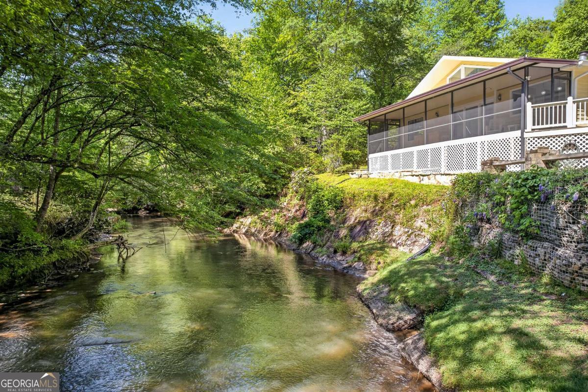 401 Mountain Rivers Road Mineral Bluff GA 30559