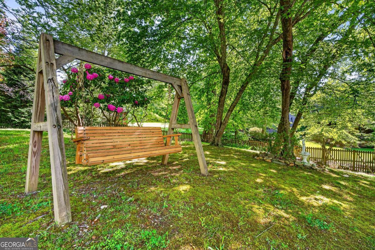 401 Mountain Rivers Road Mineral Bluff GA 30559