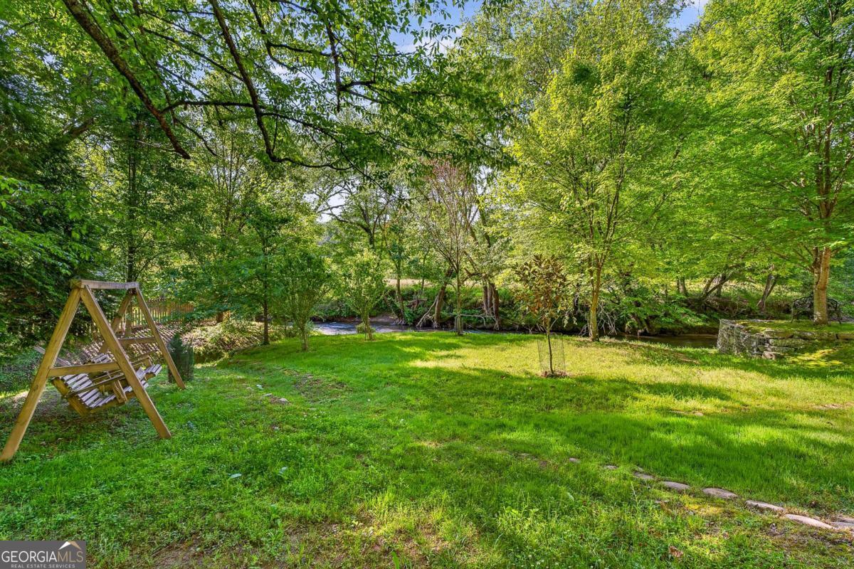 401 Mountain Rivers Road Mineral Bluff GA 30559